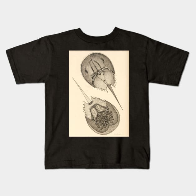 Horseshoe Crab Kids T-Shirt by bluespecsstudio